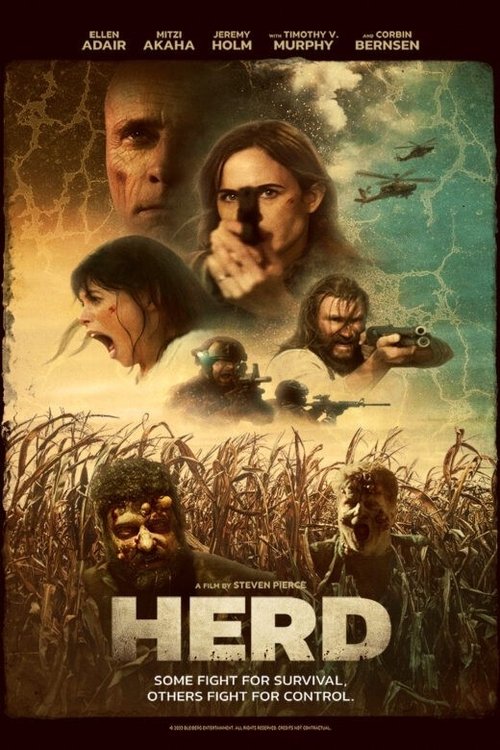 Poster 4