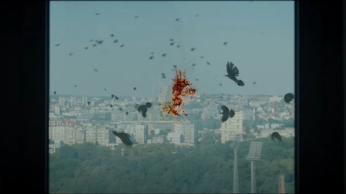 Épisode 8