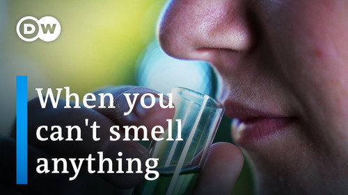 What is life like without smells?