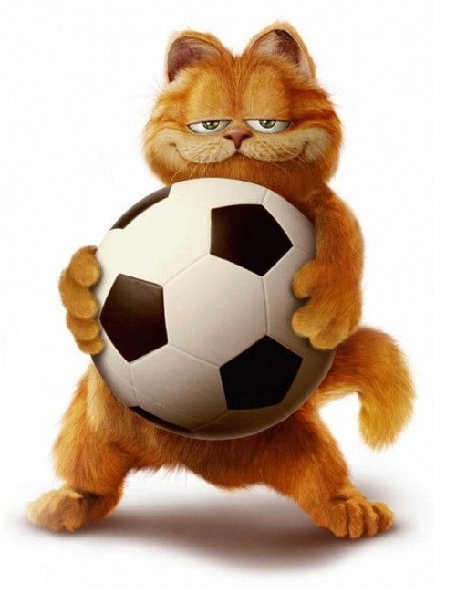 Pòster de Garfield - Col·lecció d'acció real