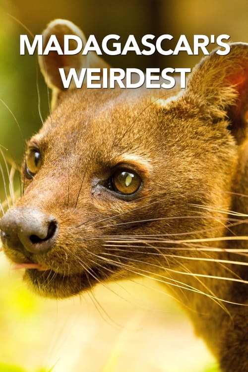 Madagascar's Weirdest