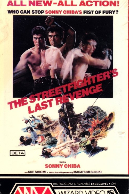 Poster 12