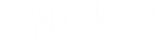 Телохранитель киллера