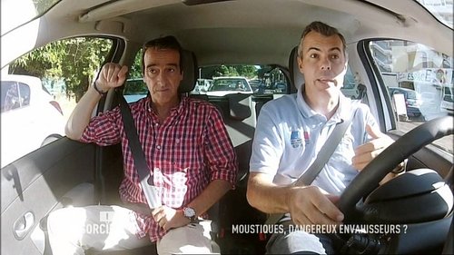 Moustiques : dangereux envahisseurs ?