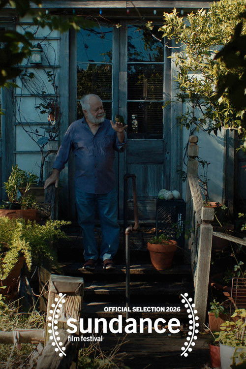 Disa Lloj Refugji poster