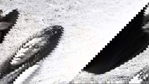 /5FROwFnEZ2A5F9qC2UqyeuoSfMa.jpg