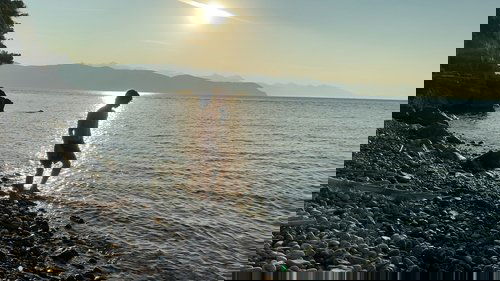 Summer on a solitary beach image 5