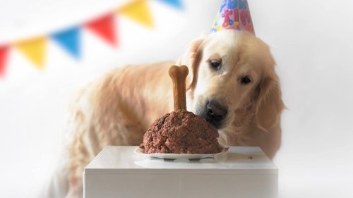 Image de l'épisode 2