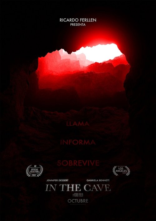 in the cave Movie Poster Image