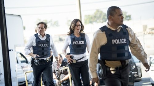 Poster della serie Major Crimes