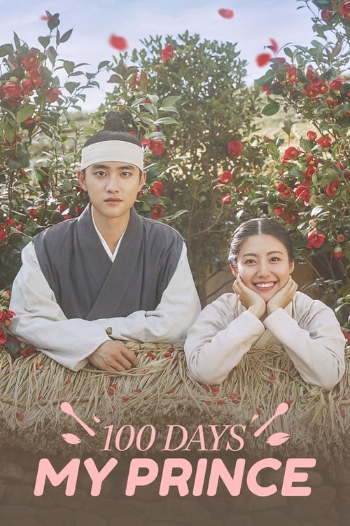 |AR| 100 Days My Prince