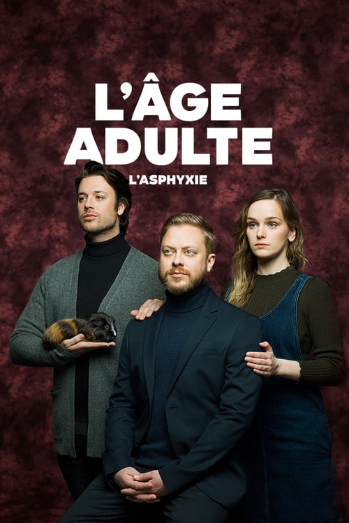 L'âge adulte, S02 - (2018)