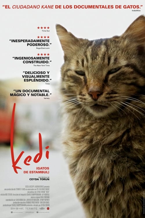 Kedi (Gatos de Estambul) 2017