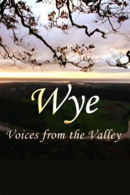 Wye: Voices From the Valley (2007) poster