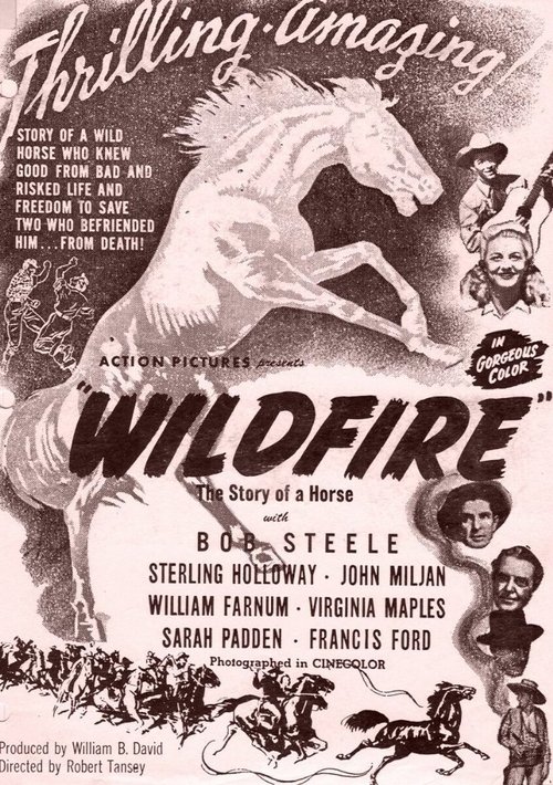 Wildfire movie poster player