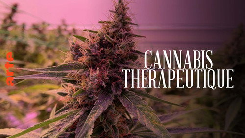 Cannabis thérapeutique, l’herbe de la controverse Backdrop Blur