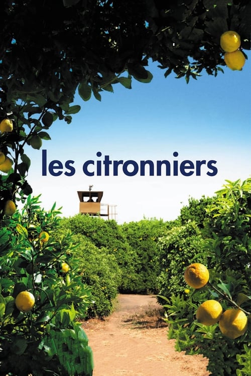 Les citronniers 2008