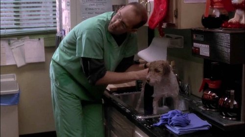 ER: Plantão Médico: 3×10