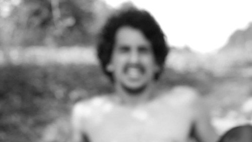 Still Running: The Forest Backdrop Blur