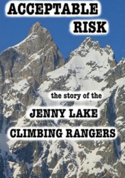 Acceptable Risk