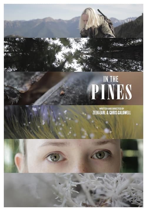 Poster do filme In the Pines