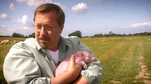 Image de l'épisode 7