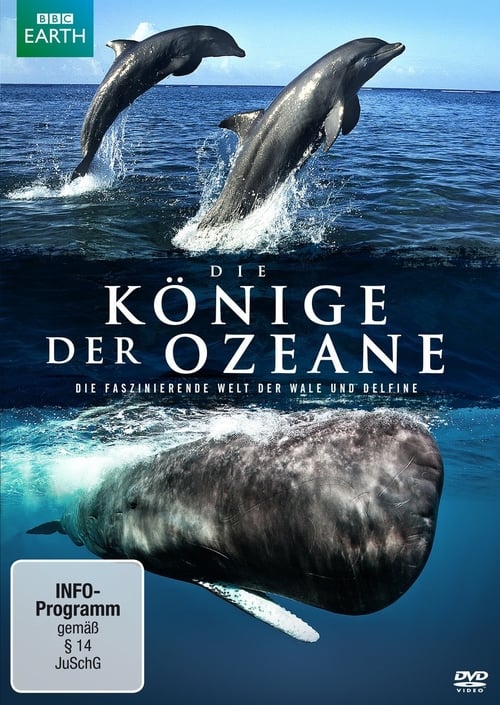 Die Könige der Ozeane poster