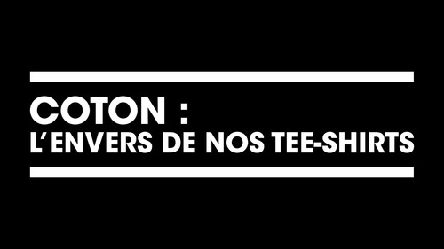 Image Coton : L'envers du décor