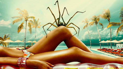 Spider Island