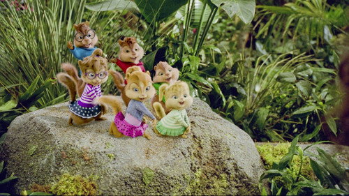 Image du film