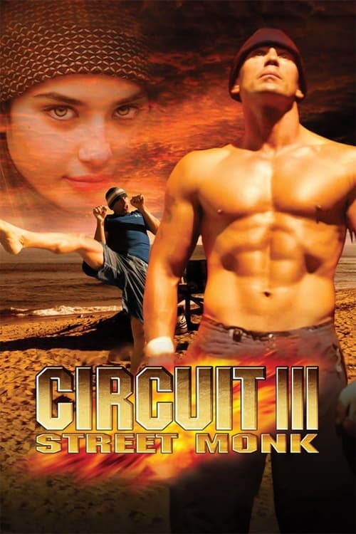 The Circuit III: Final Flight Movie Poster Image