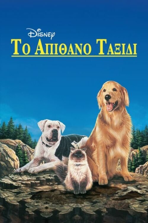 Posters