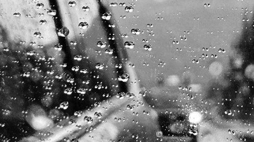 raindrops still