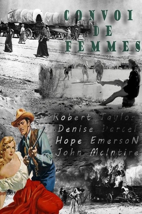 Poster image du film Convoi de Femmes Convoi de Femmes