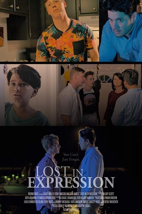 Lost in Expression (2015)