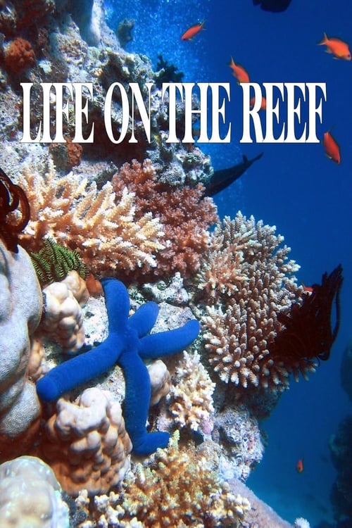 Where to stream Life on the Reef Season 1