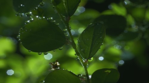 One Strange Rock: 1×1