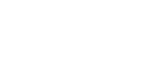 My Penguin Friend