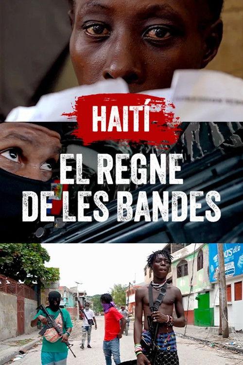 Cartell de Haití, el regne de les bandes