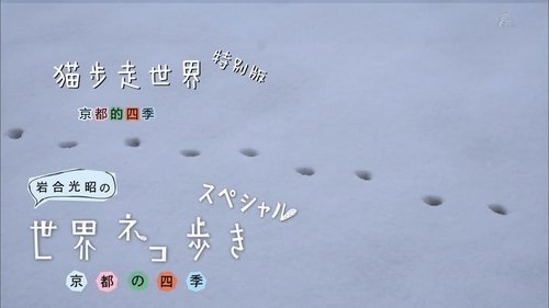 Image de l'épisode 8