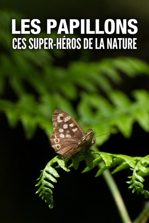 Poster Les Papillons, ces super-héros de la nature