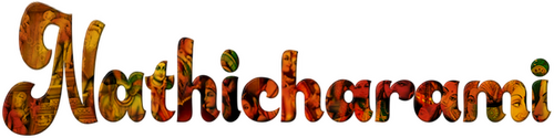 ನಾತಿಚರಾಮಿ