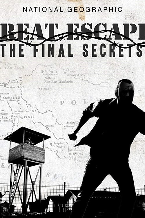 Great Escape: The Final Secrets movie poster player