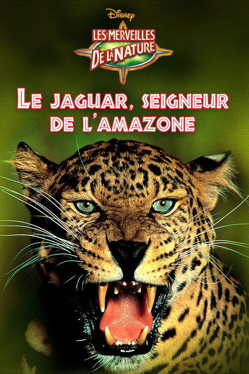 Le Jaguar, seigneur de l'Amazone