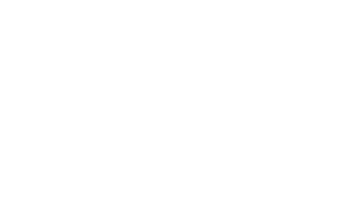 Reasonable Doubt