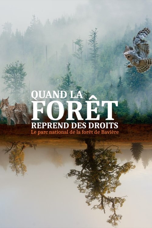 Quand la forêt reprend ses droits - Le parc national de la forêt de Bavière Poster