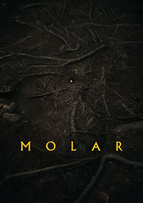 Molar (2024) poster