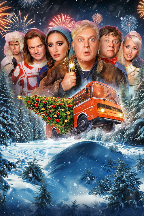 Affiche de Звёзды в Сибири