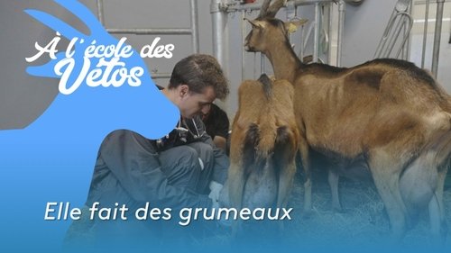 Elle fait des grumeaux