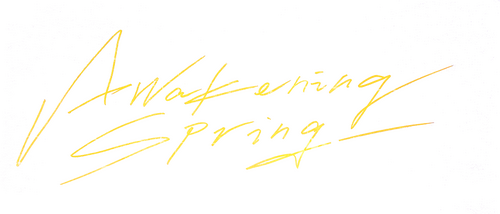 温柔壳